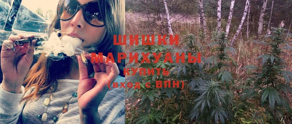 трава Белокуриха
