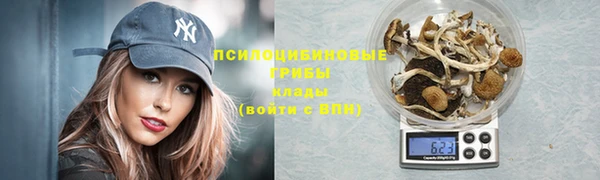 трава Белокуриха