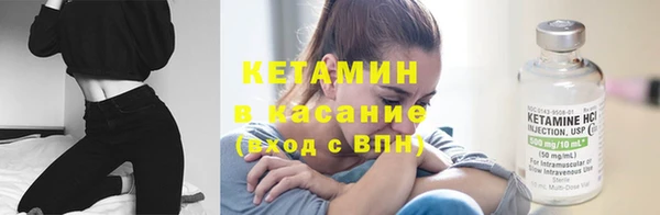трава Белокуриха