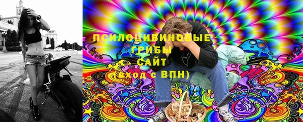 трава Белокуриха