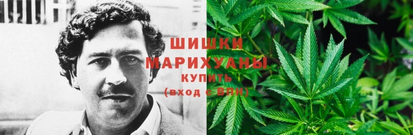 трава Белокуриха